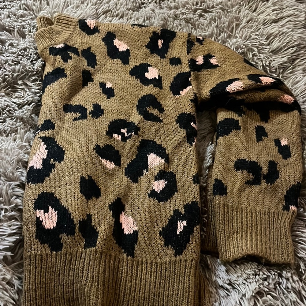Cheetah print Sweater